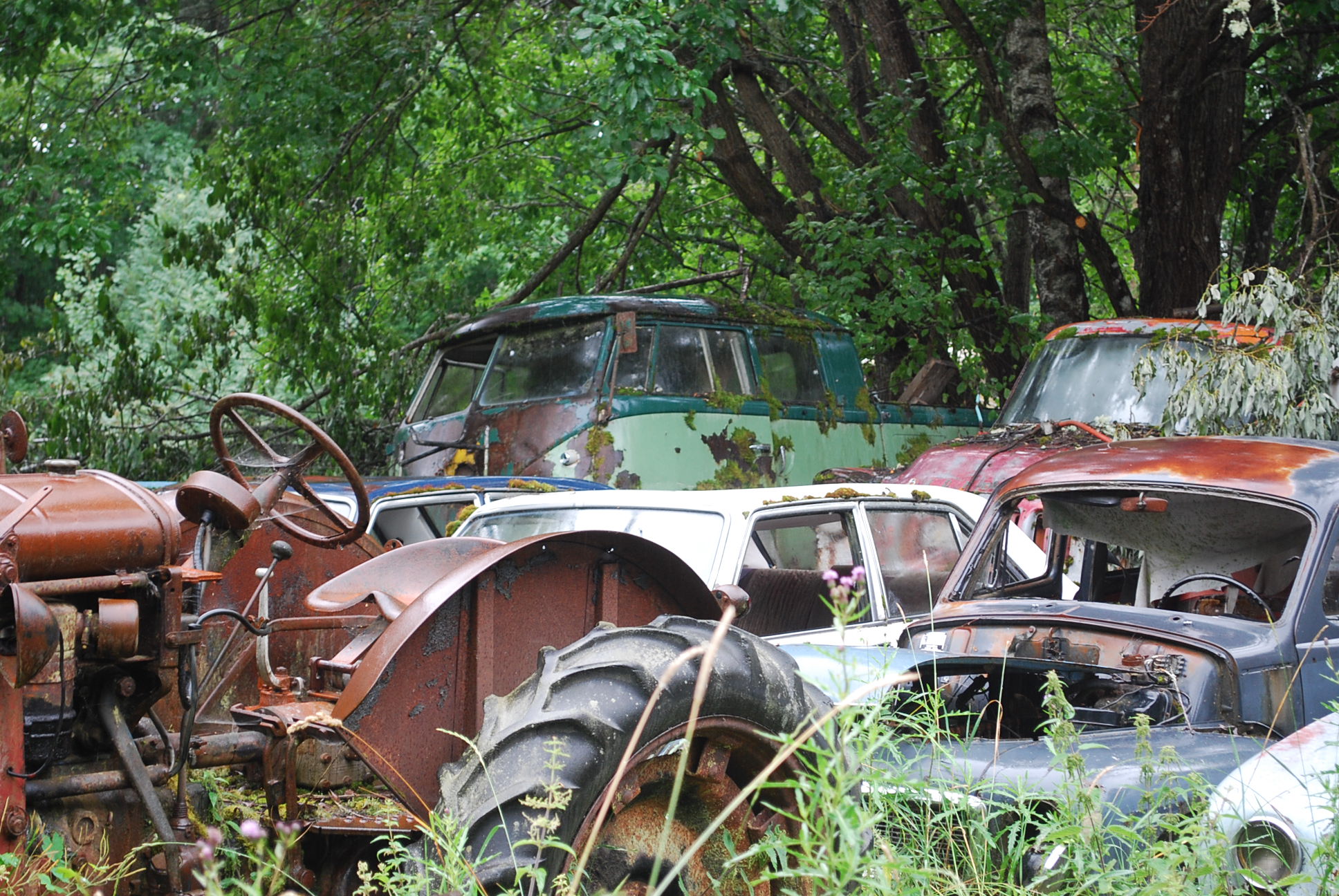 DSC_0215.JPG, 662.22 kb, 1936 x 1296