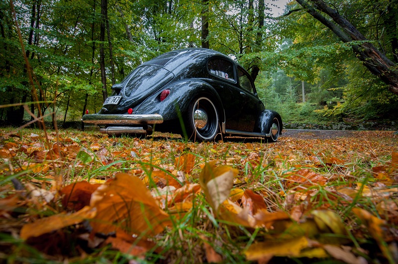 höst1.jpg, 262.91 kb, 800 x 531