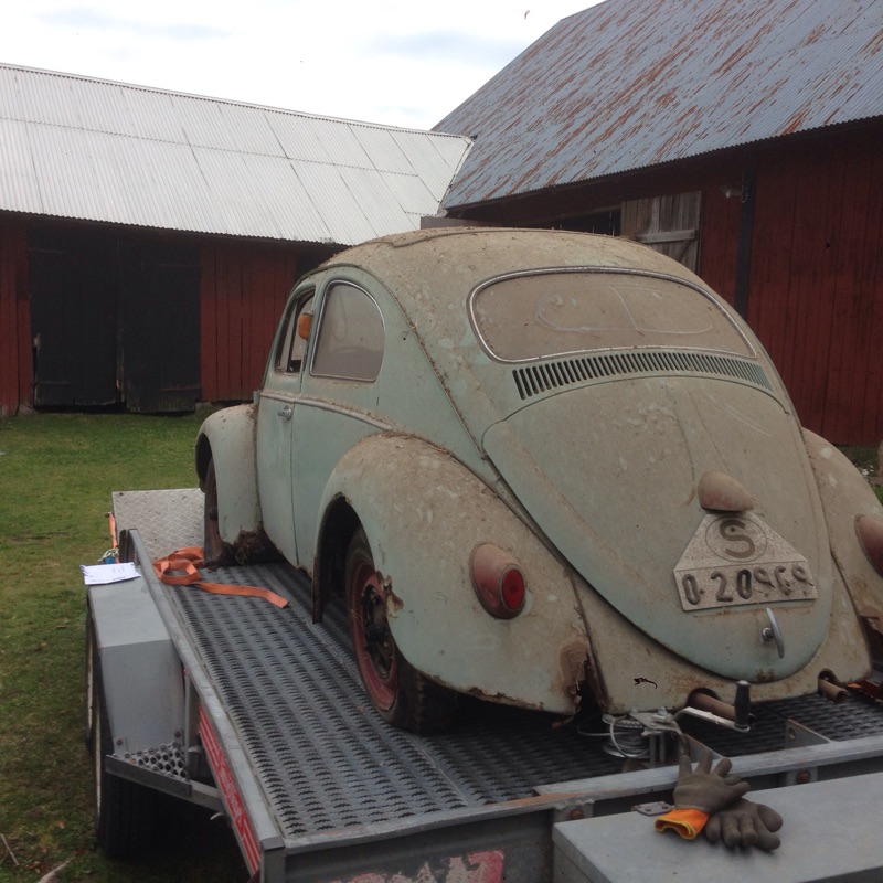 IMG_1227.jpg, 169.02 kb, 800 x 800