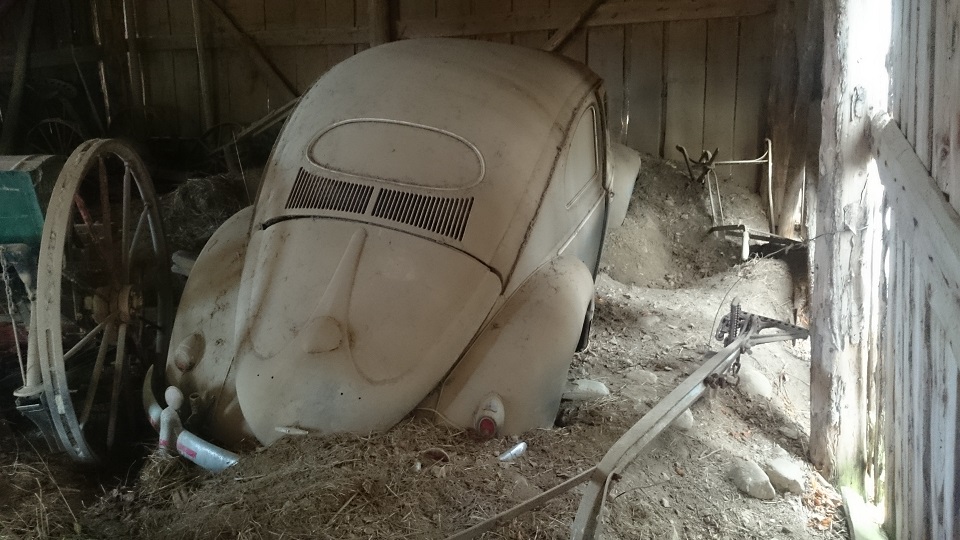 DSC_0195.JPG, 211.77 kb, 960 x 540