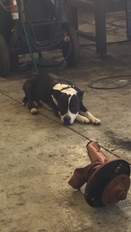 1a.jpg, 22.19 kb, 270 x 480