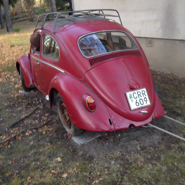 IMG_0731.JPG, 190.94 kb, 640 x 640