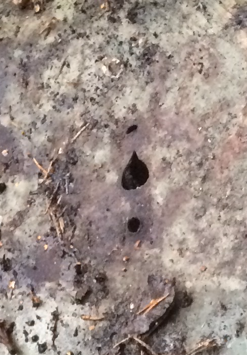 IMG_8699.PNG, 488.08 kb, 487 x 698