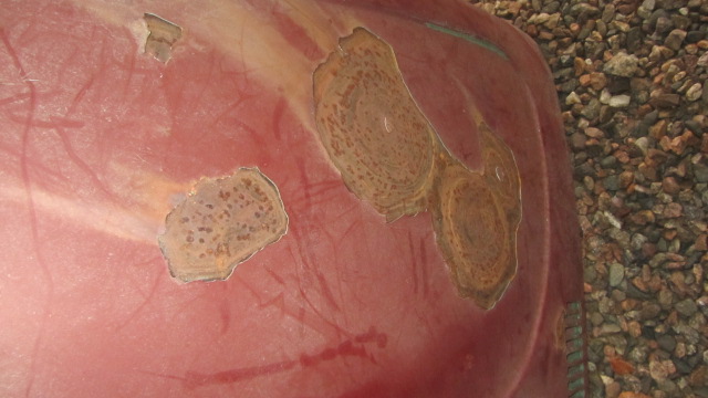 IMG_6562[1].JPG, 86.84 kb, 640 x 360