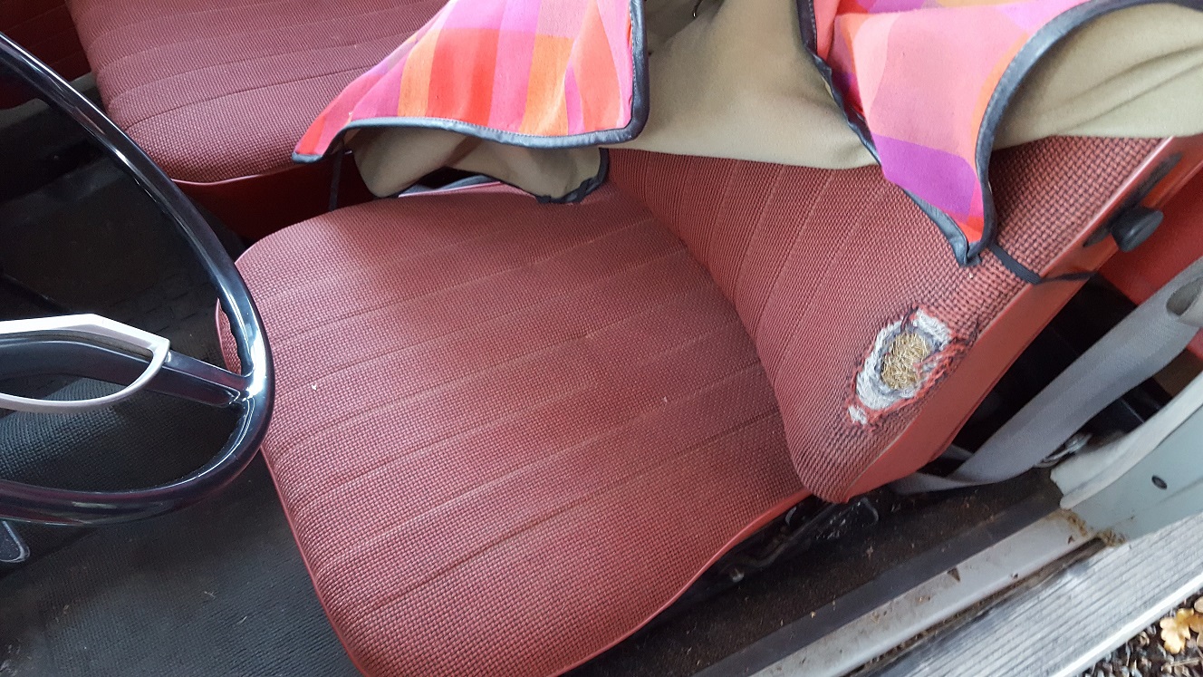 20161126_133318.jpg, 453.27 kb, 1328 x 747