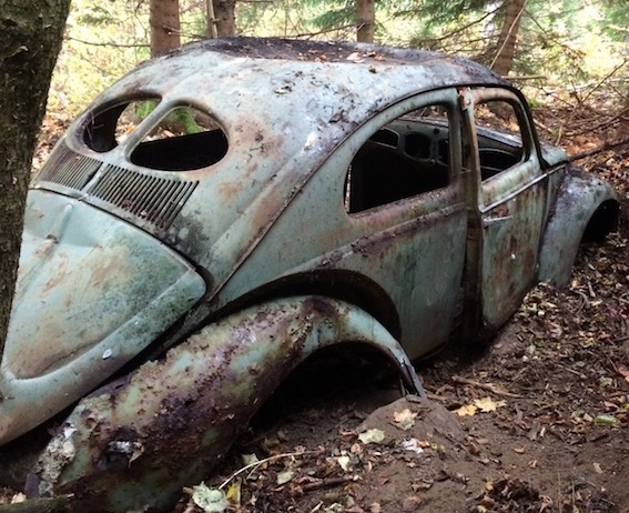 lilla tilllboxervile.jpg, 120.53 kb, 567 x 462