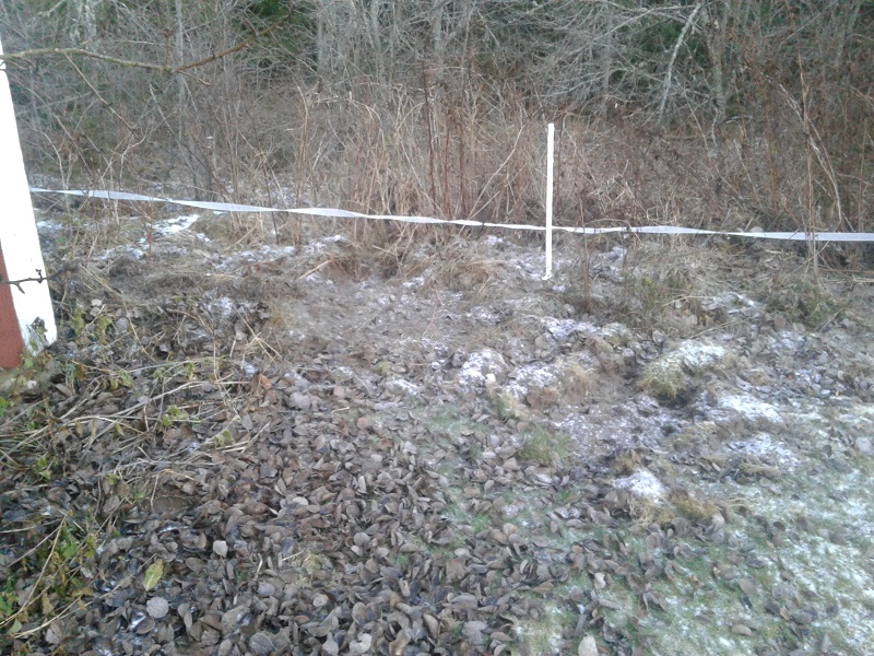 20161203_145410.jpg, 271.86 kb, 800 x 600