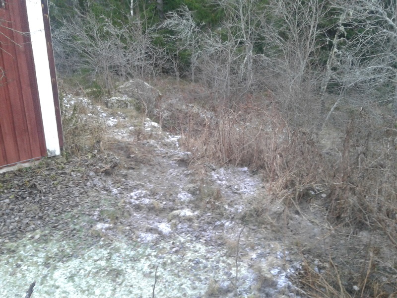 20161203_091510.jpg, 239.4 kb, 800 x 600