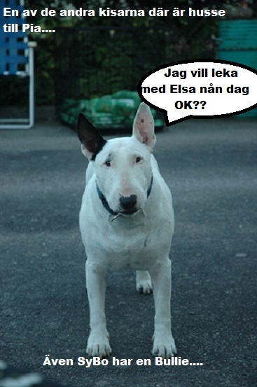 Liten vecka 11.jpg, 101.33 kb, 367 x 553