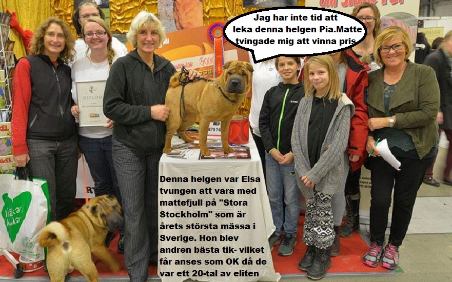 LIten vecka 12.jpg, 222.32 kb, 881 x 550