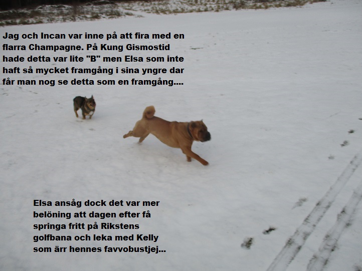 Liten vecka 13.jpg, 121.82 kb, 722 x 541