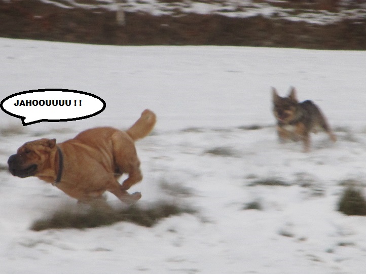 Liten vecka 16.jpg, 109.07 kb, 722 x 541