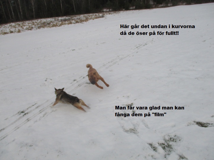 Liten vecka 14.jpg, 101.26 kb, 722 x 541