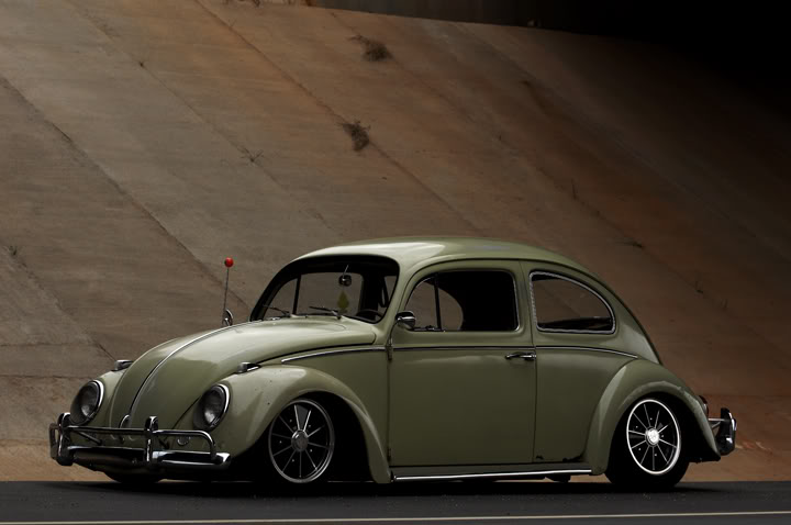 Beetle_a-1.jpg, 161.72 kb, 720 x 478