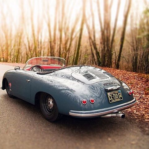 12534278_230667597271161_1992642814_n.jpg, 48.1 kb, 480 x 480