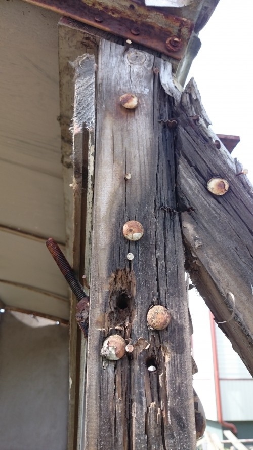 2016-06-2213.23.29.md[1].jpg, 115.73 kb, 500 x 889