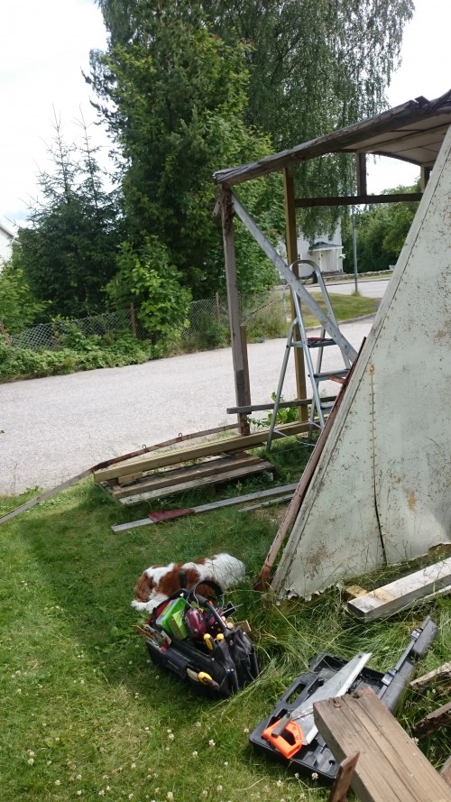 2016-06-2213.39.31.md[1].jpg, 178.45 kb, 500 x 889