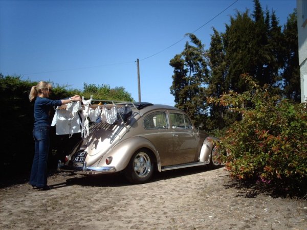 tvättlina.jpg, 79.33 kb, 600 x 450