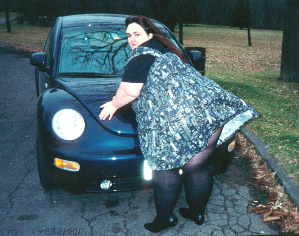 vwcat1_4.jpg, 93.35 kb, 600 x 473