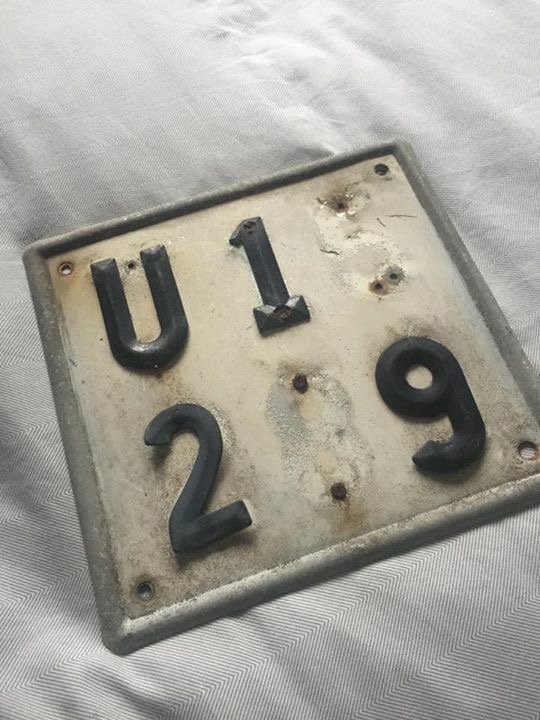 IMG_7277.JPG, 112.98 kb, 540 x 720