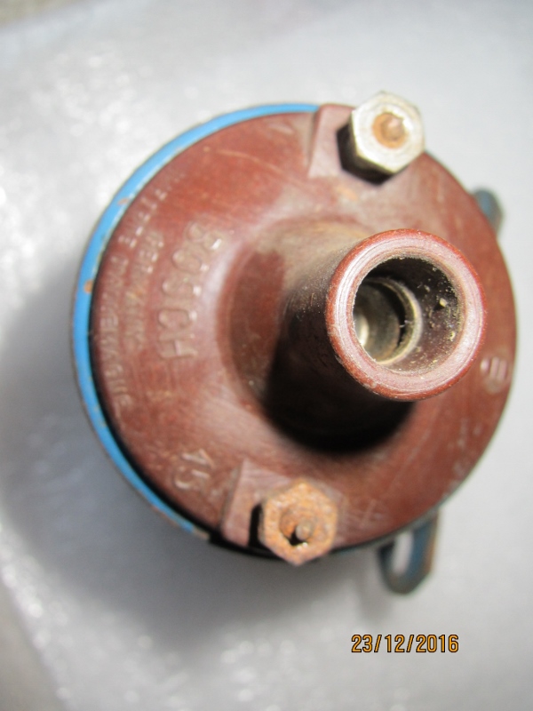 IMG_6486 (600x800).jpg, 173.09 kb, 600 x 800