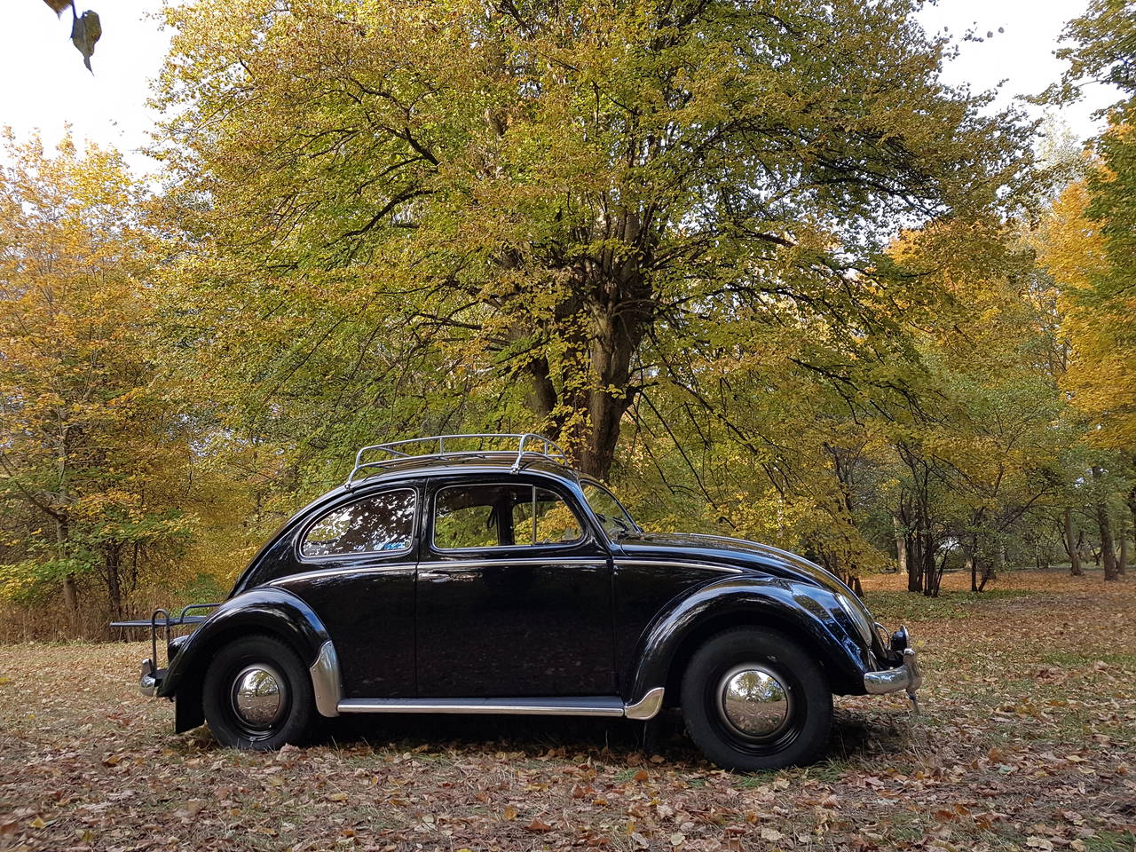 oval.jpg, 414.73 kb, 1280 x 960