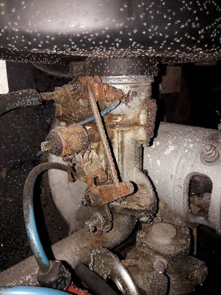 m4.jpg, 62.03 kb, 450 x 600