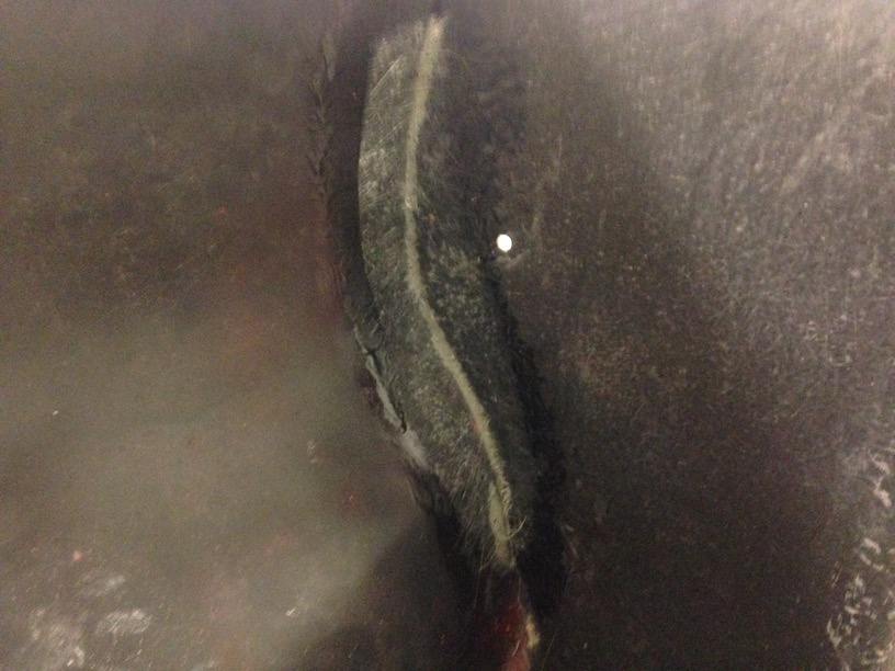 IMG_2411.jpg, 143.36 kb, 816 x 612