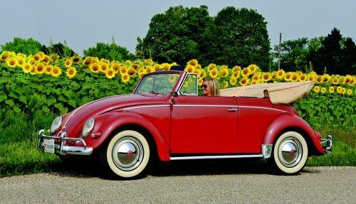 129091-500-0.jpg, 39.22 kb, 500 x 287