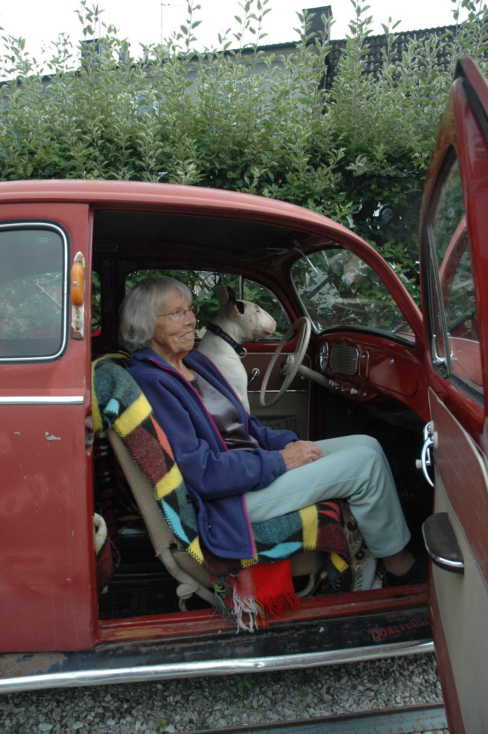 DSC_0341.jpg, 657.27 kb, 1000 x 1504