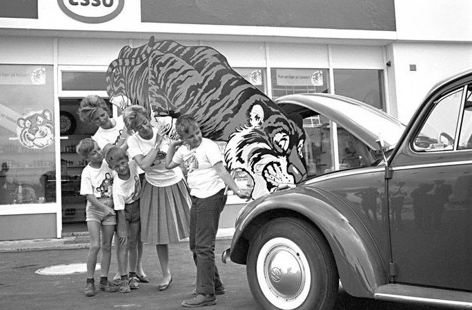 Tiger.jpg, 125.62 kb, 684 x 450