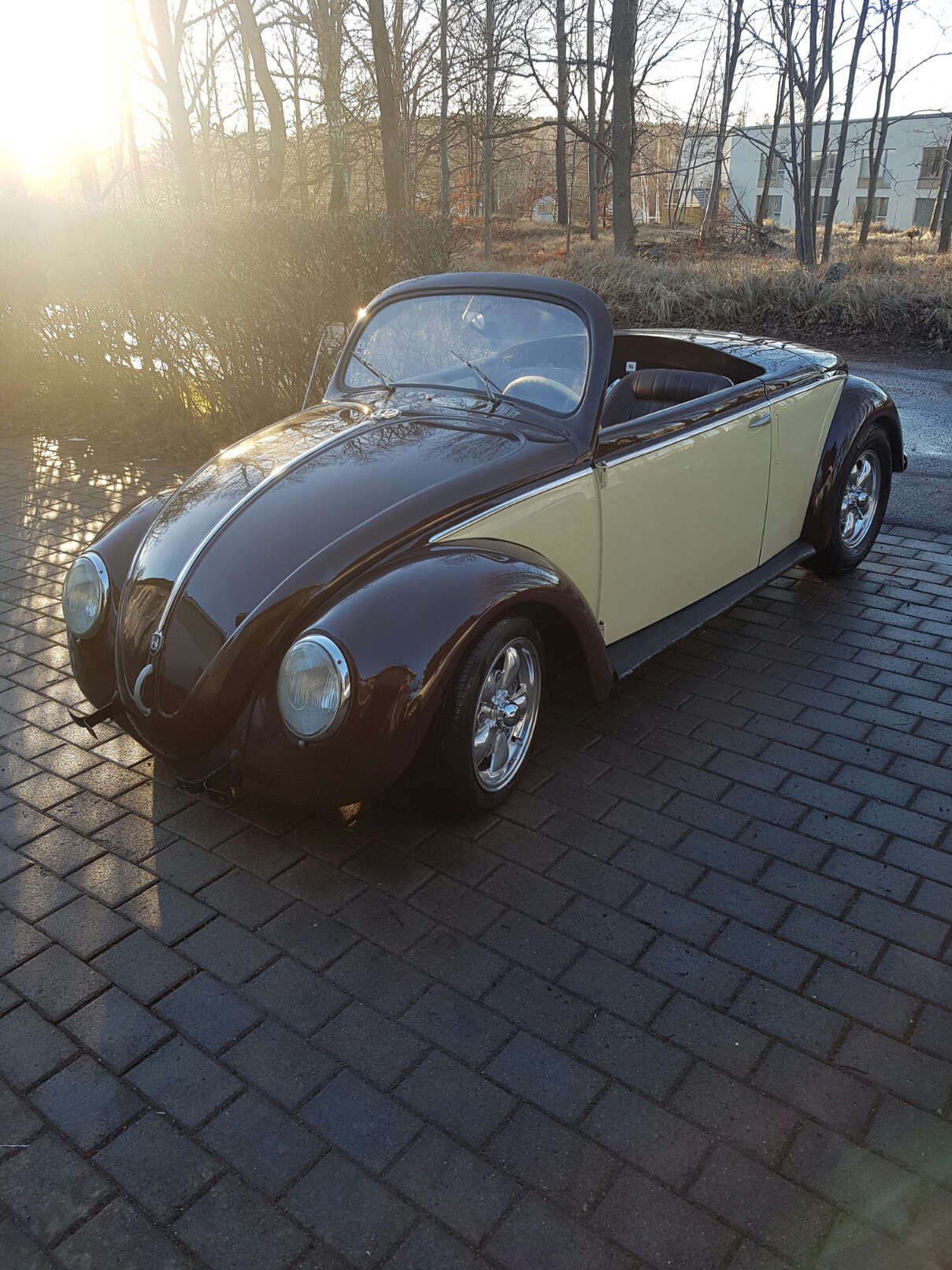 20170121_143030-1209x1612.jpg, 559.42 kb, 1209 x 1612