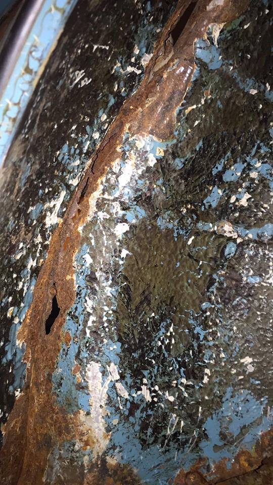 16358739_10211983794969585_1176242700_n.jpg, 122.84 kb, 540 x 960