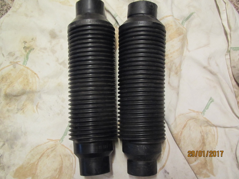 IMG_6593 (800x600).jpg, 217.69 kb, 800 x 600