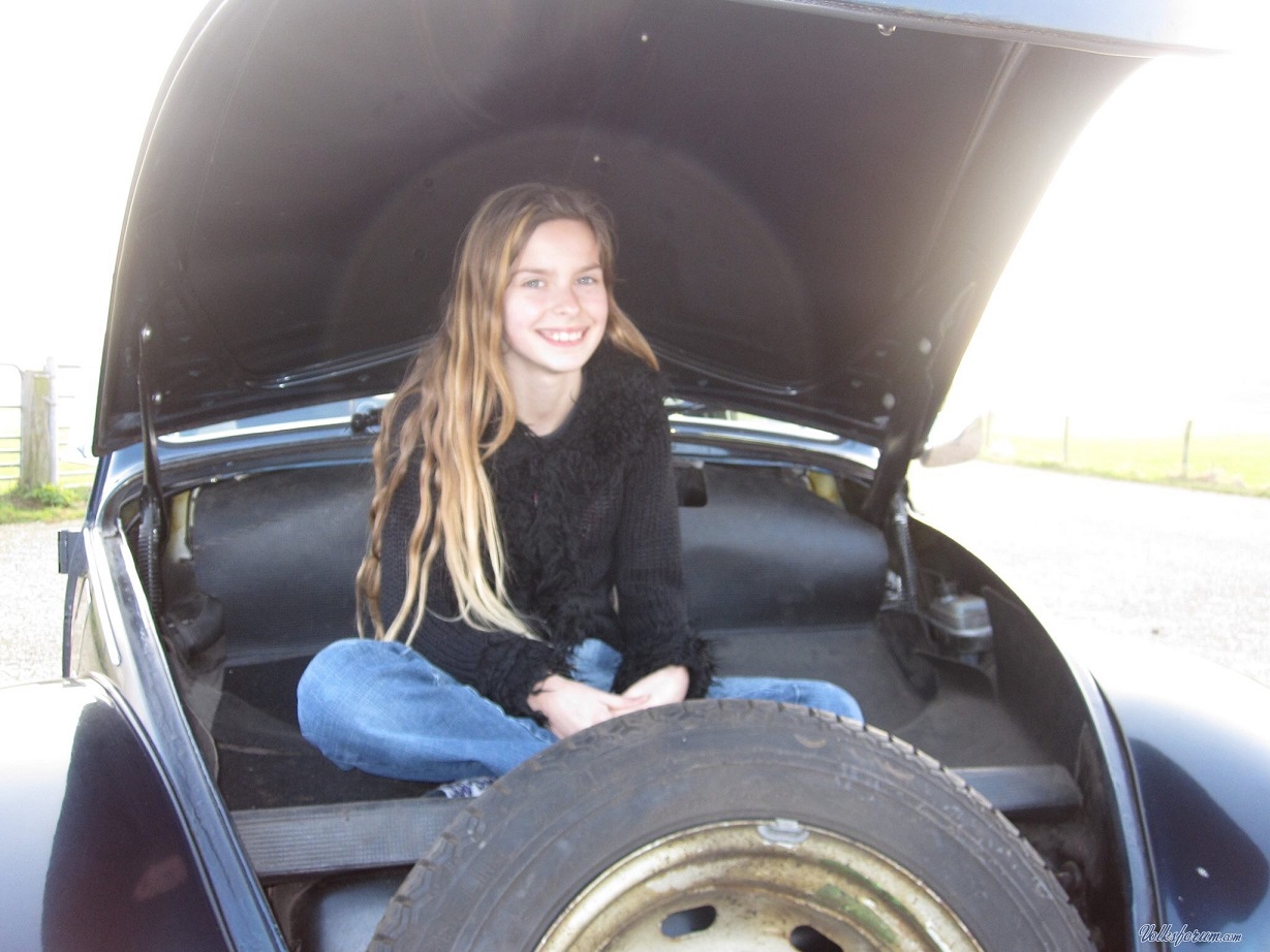 263.jpg, 253.22 kb, 1229 x 922