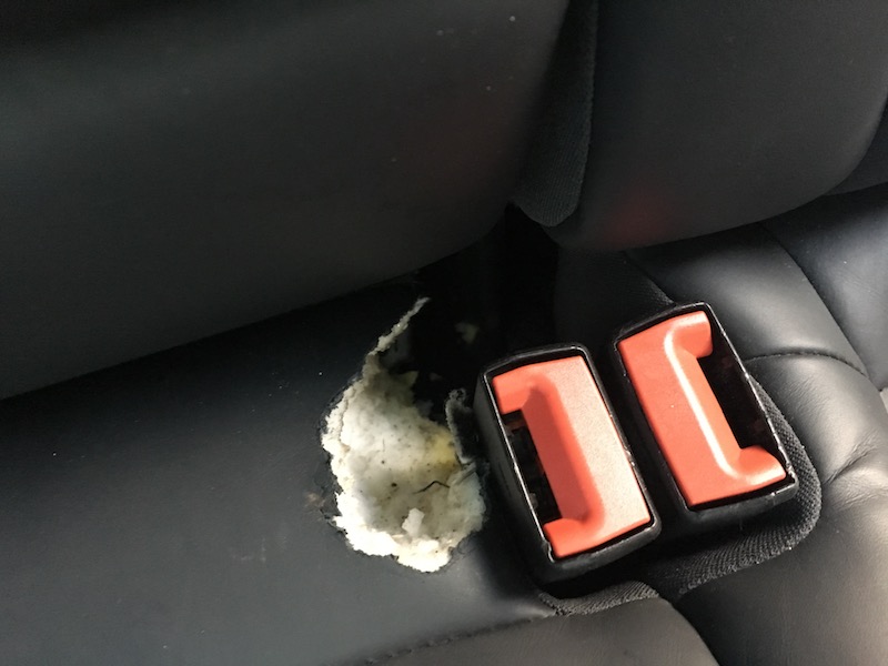 IMG_0067.JPG, 82.47 kb, 800 x 600