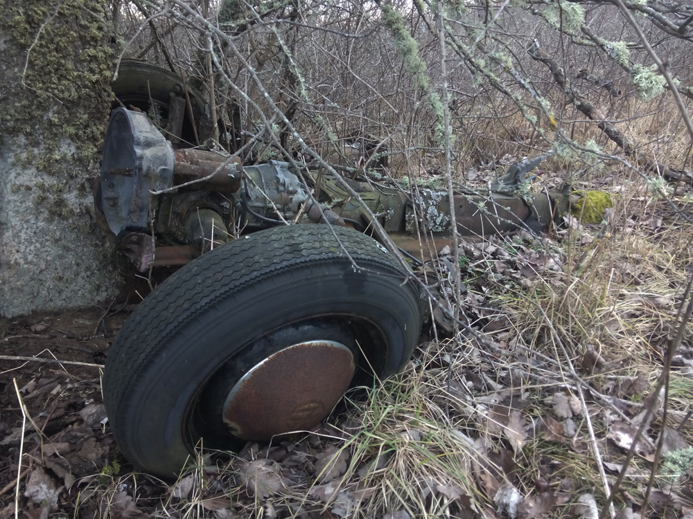 IMG_20170205_085027.jpg, 740.18 kb, 1000 x 750