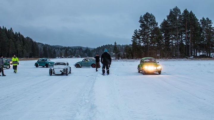 IMG_6116.JPG, 62.45 kb, 720 x 405