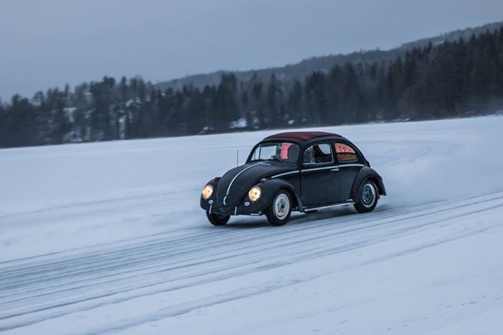 IMG_6113.JPG, 49.97 kb, 720 x 480