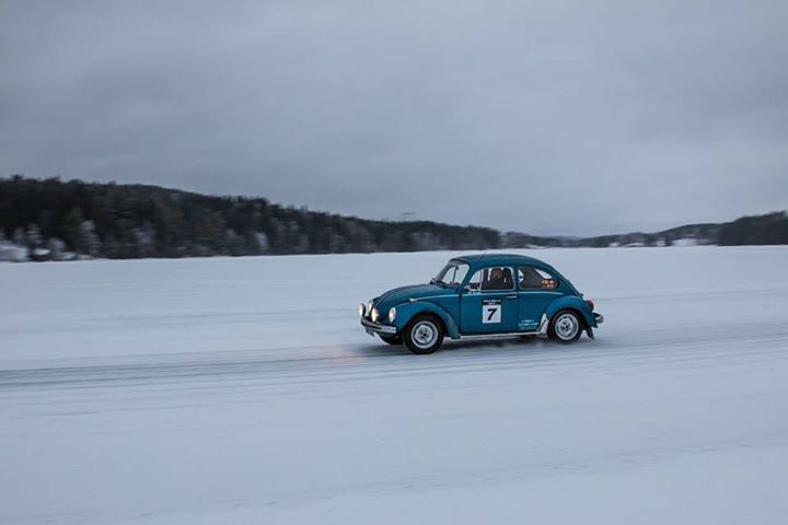 IMG_6112.JPG, 36.11 kb, 720 x 480