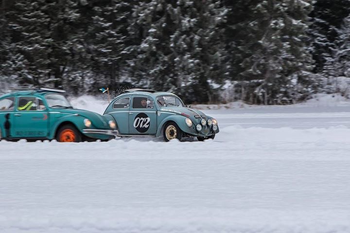 IMG_6109.JPG, 84.48 kb, 720 x 480