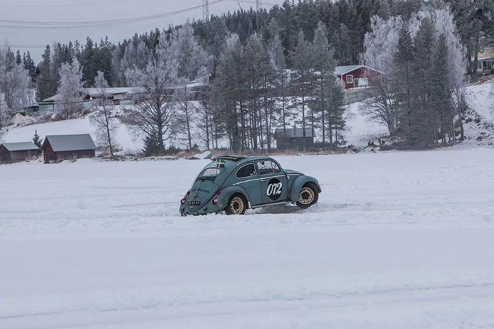 IMG_6107.JPG, 79.96 kb, 720 x 480