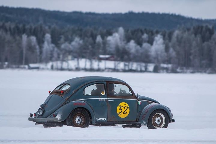 IMG_6101.JPG, 59.45 kb, 720 x 480