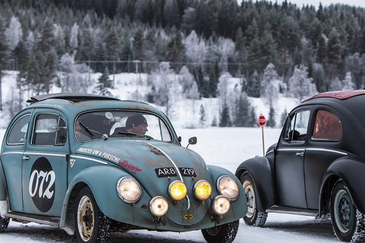 IMG_6099.JPG, 109.75 kb, 720 x 480