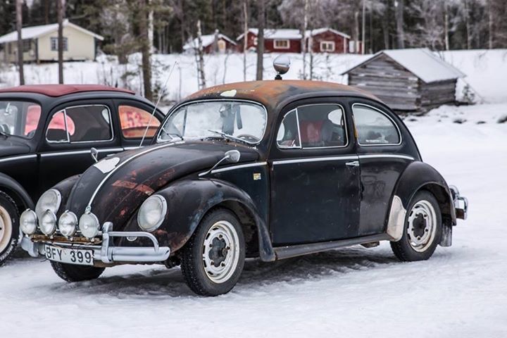 IMG_6094.JPG, 103.06 kb, 720 x 480