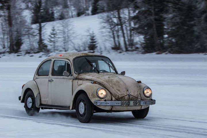 IMG_6090.JPG, 80.88 kb, 720 x 480