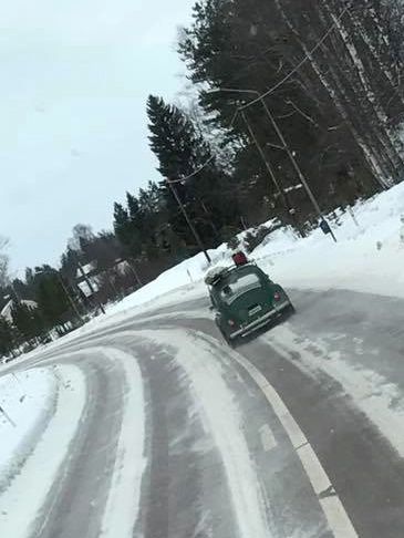 -65an i älvros.jpg, 31.26 kb, 365 x 486