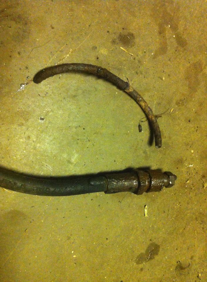 16736078_1460005940705819_1735091083_n.jpg, 101.31 kb, 704 x 960