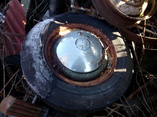 IMG_20170216_122029.jpg, 182.07 kb, 500 x 375