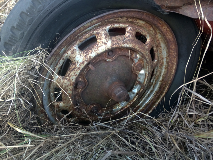 IMG_20170217_160203.jpg, 373.94 kb, 700 x 525